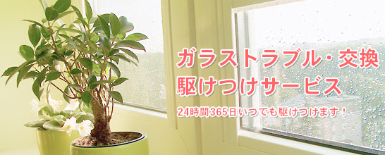 �K���X�g���u���E�����삯���T�[�r�X