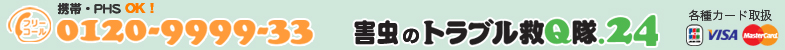 各種カード取扱い。お気軽にお電話ください。
